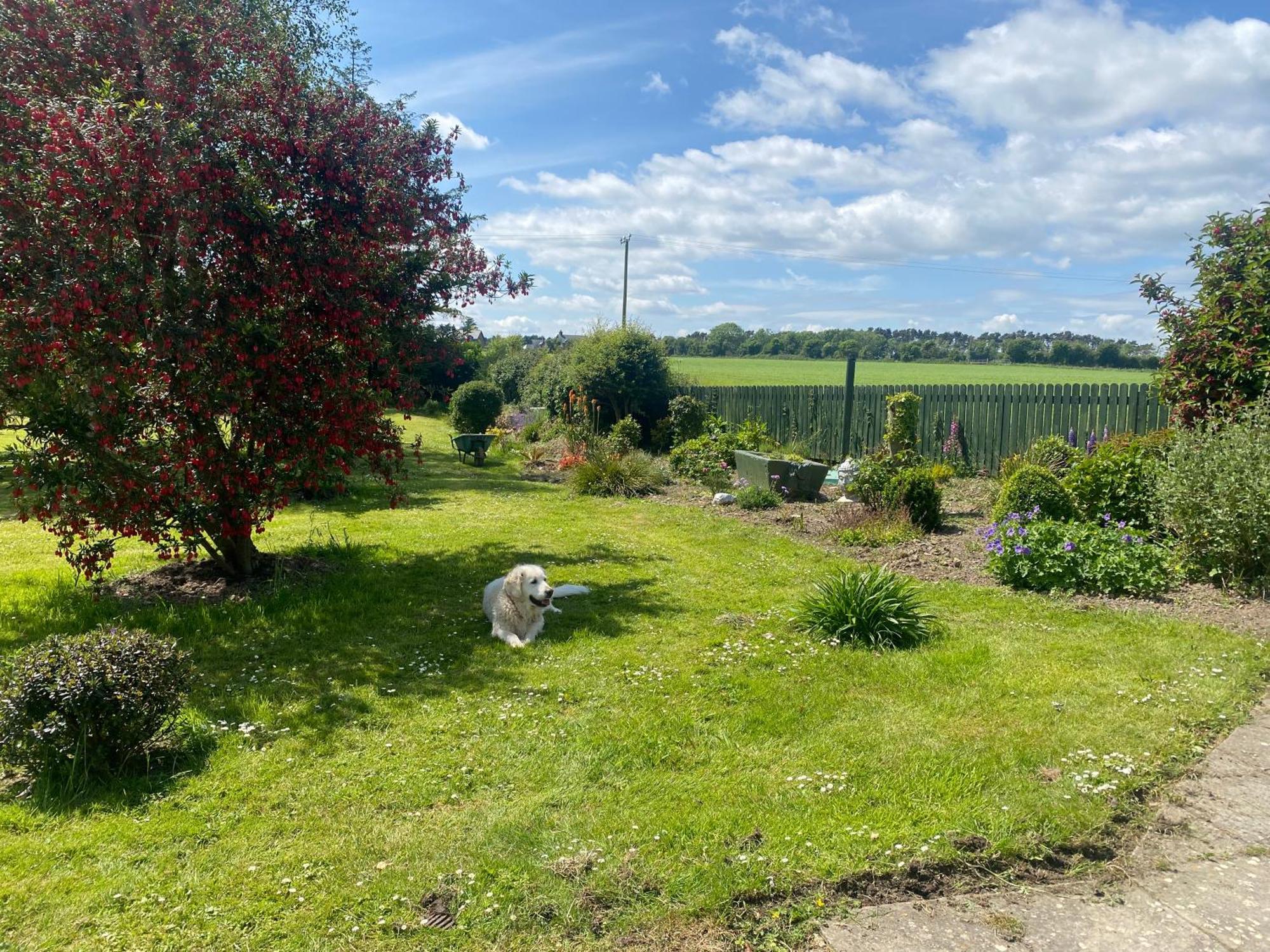 Nolans Organic Farm Villa Wexford Exteriör bild